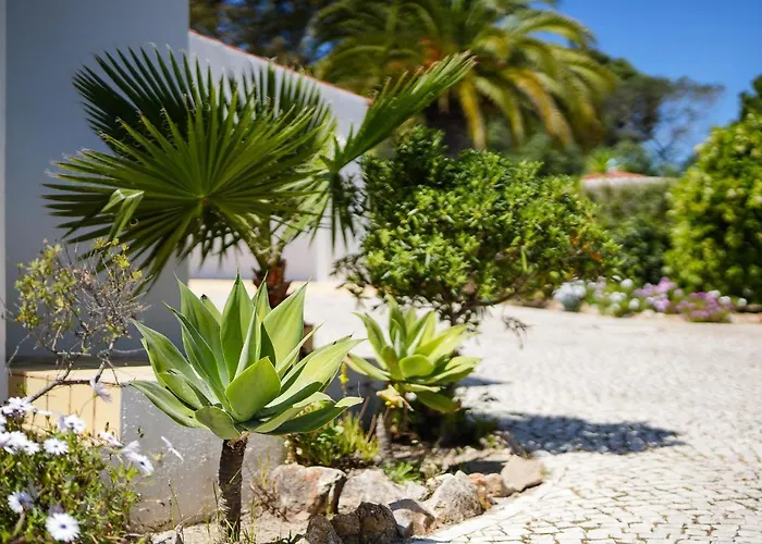 Casa Pitanga